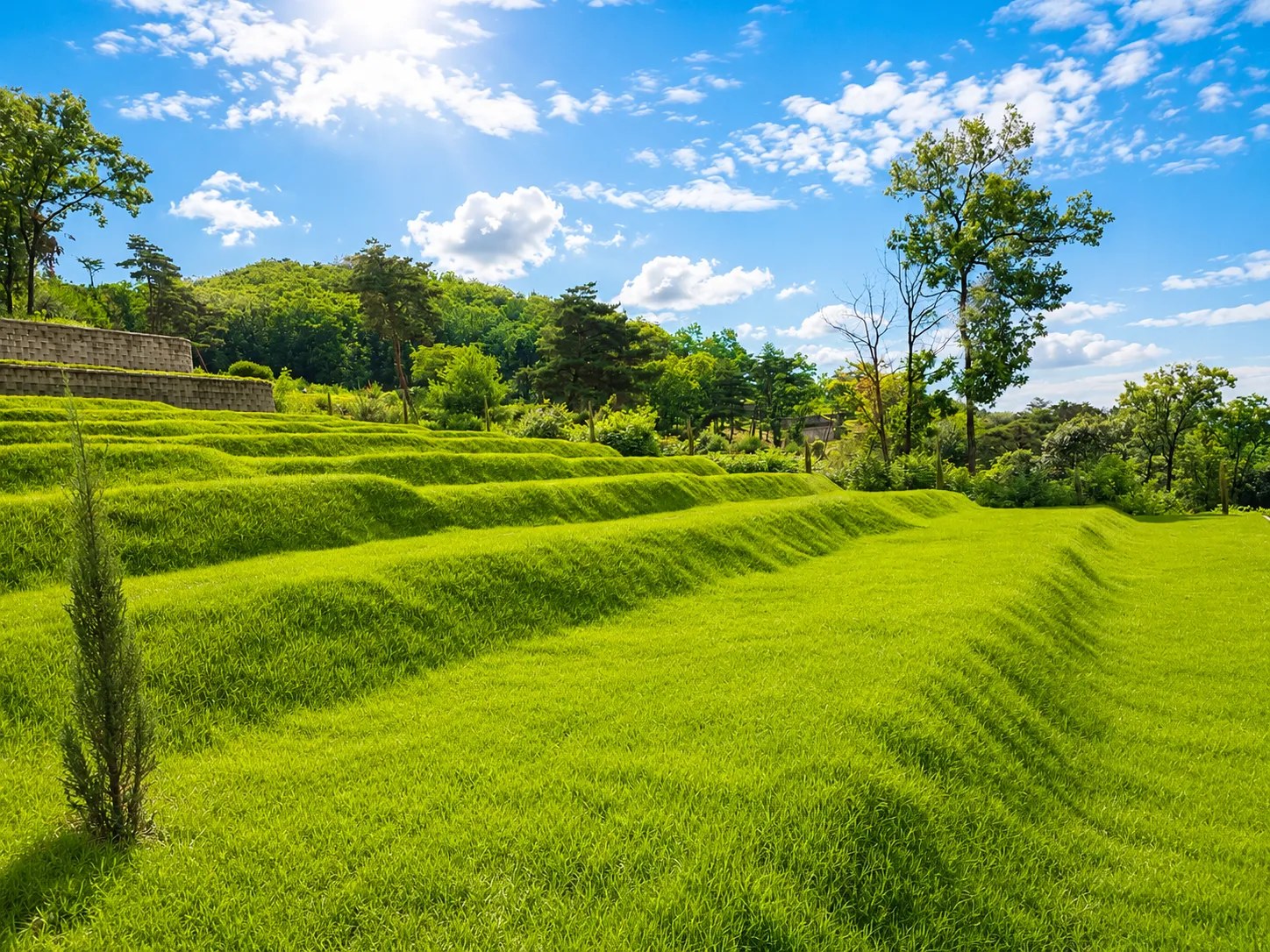 House of Hue grounds — rolling terraced hillside
