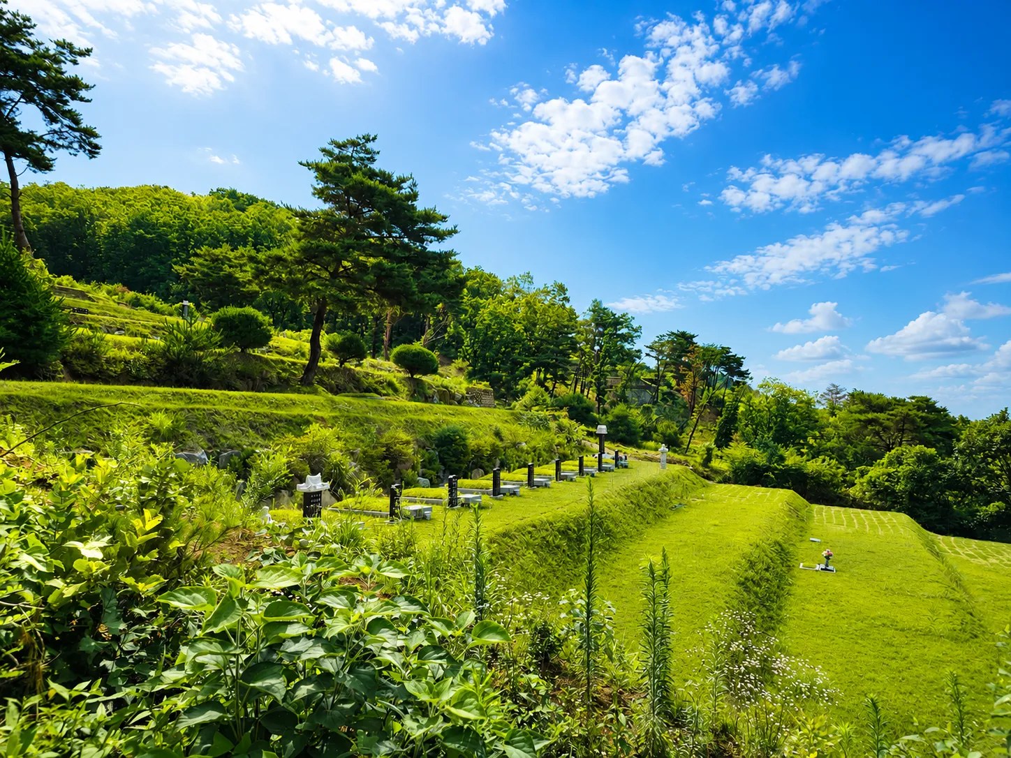 House of Hue grounds — lawn burial plots among greenery